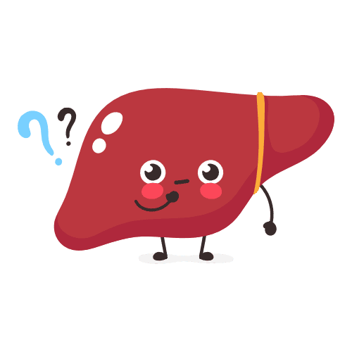 liver question